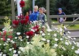 IMG_1902 (1280x853).jpg (117356 bytes)